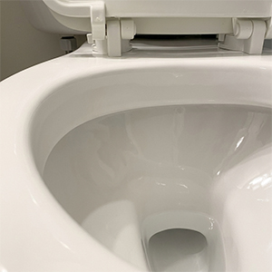 RestoraBowl image